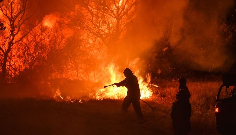 Feux de for&ecirc;t : d&eacute;couvrez les principales causes d'incendies en France