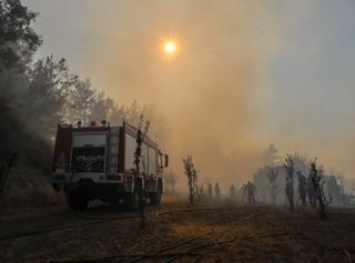 Feux de forêts en Méditerranée : un été catastrophique