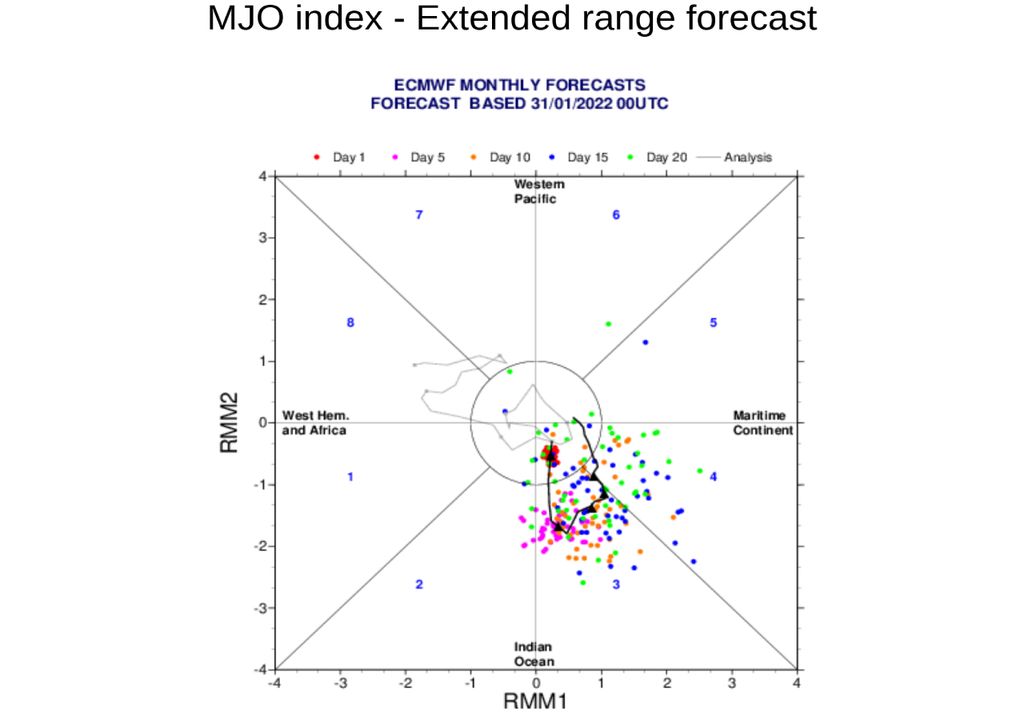 MJO