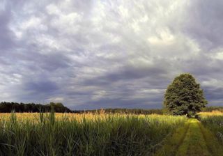Fevereiro de 2019: calor e chuvas mais frequentes