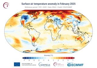 Febrero de 2025 fue el tercero más cálido de la historia, con temperaturas extremas en Sudamérica y el Ártico