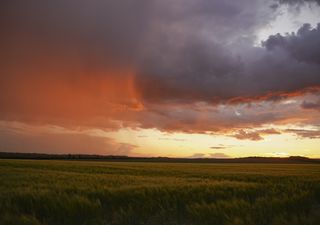 O que esperar para a segunda quinzena de fevereiro?