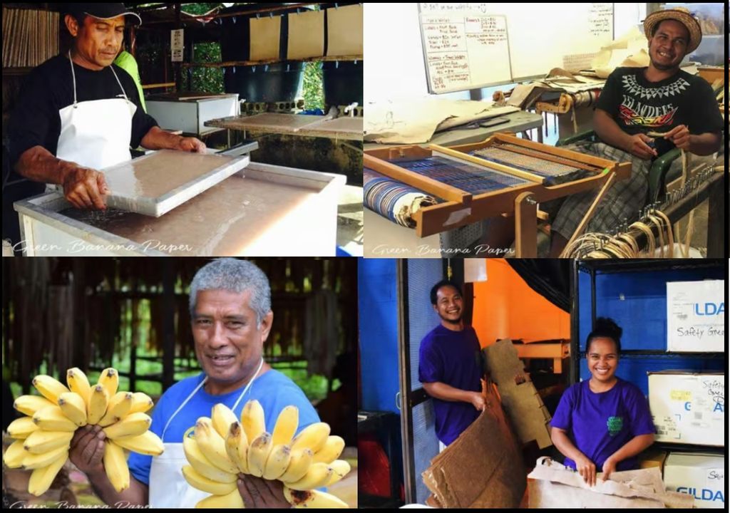 industria textil a base de fibra del banano p plátano Green Banana Paper