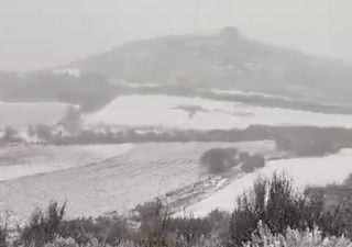 Fien: queda de neve deixa várias regiões de Portugal “pintadas” de branco