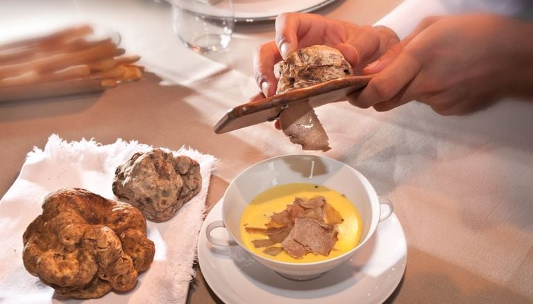 Fiera del Tartufo Bianco d&rsquo;Alba 2026: cosa vedere nel weekend del 17 e 18 ottobre, orari ed eventi
