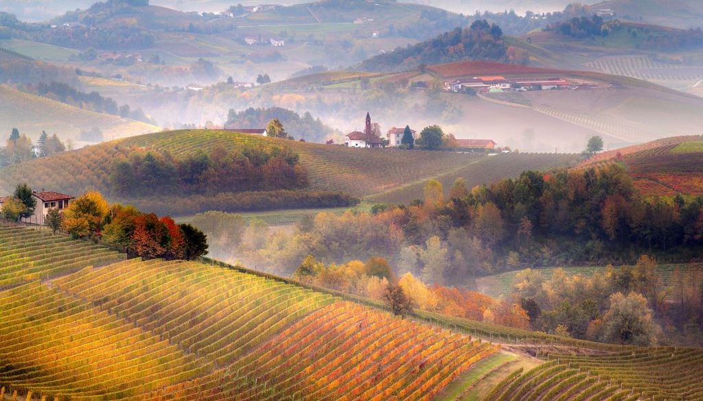 Le atmosfere sognanti delle Langhe in autunno, tra boschi e vigneti