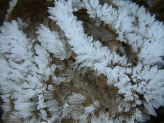 “Figuras de hielo”