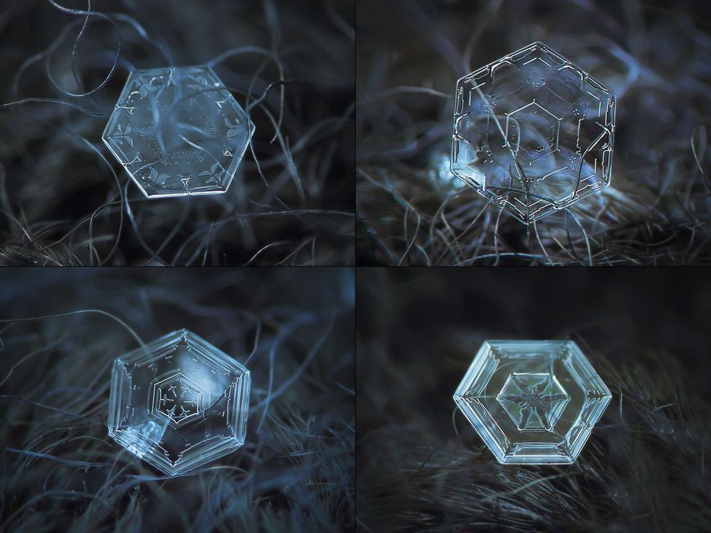 Placas hexagonales Mosaico de fotografías macro de copos de nieve individuales con forma de placa hexagonal.