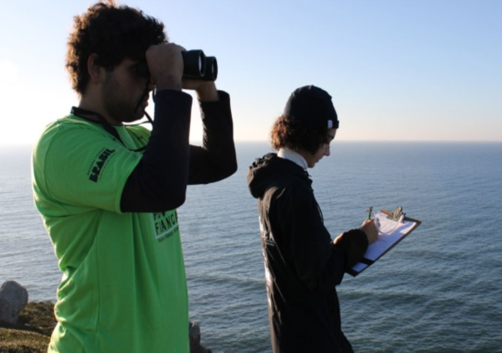 Jovens de 4 estados participam de estágio ambiental após aumento de mortes de baleias em SC. Jovens de 4 estados participam de estágio ambiental após aumento de mortes de baleias em SC.