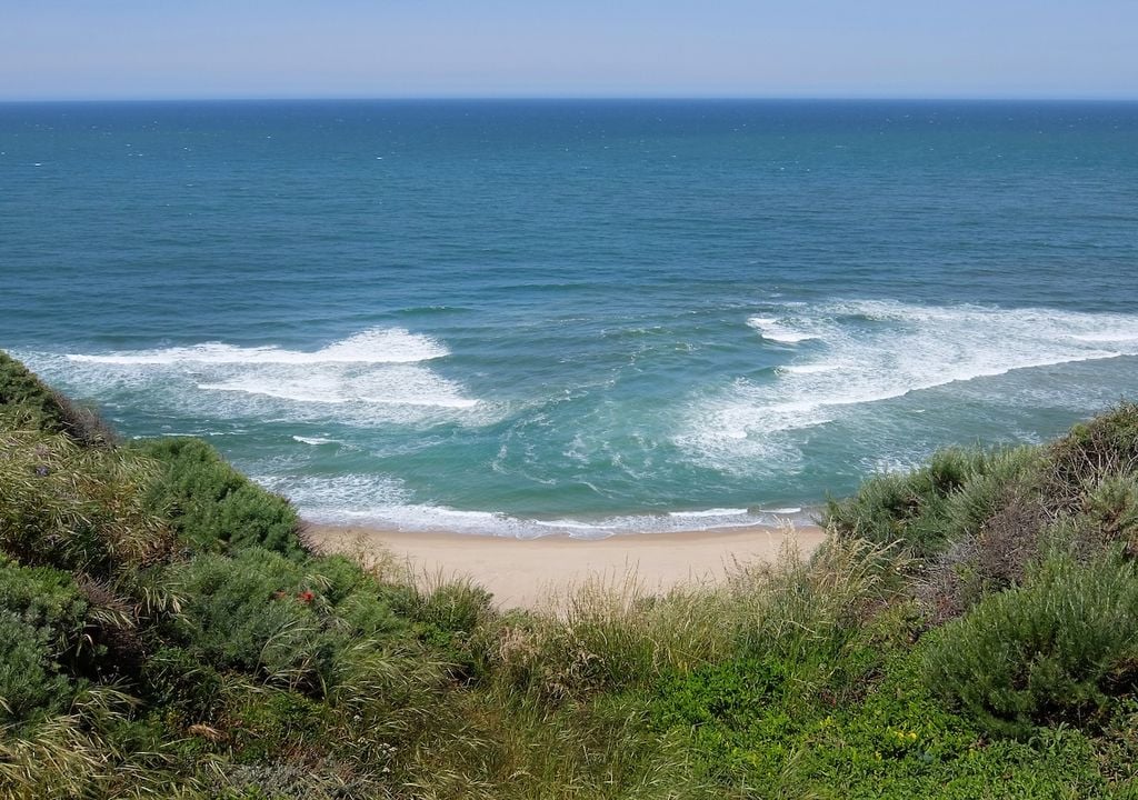 Wellenüberläufe, Mikroben, Strand, Ökosystem