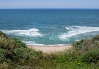 Filtern Mikroben Strandwasser? Stanford-Studie zeigt ihre Verwundbarkeit gegenüber dem Klimawandel 