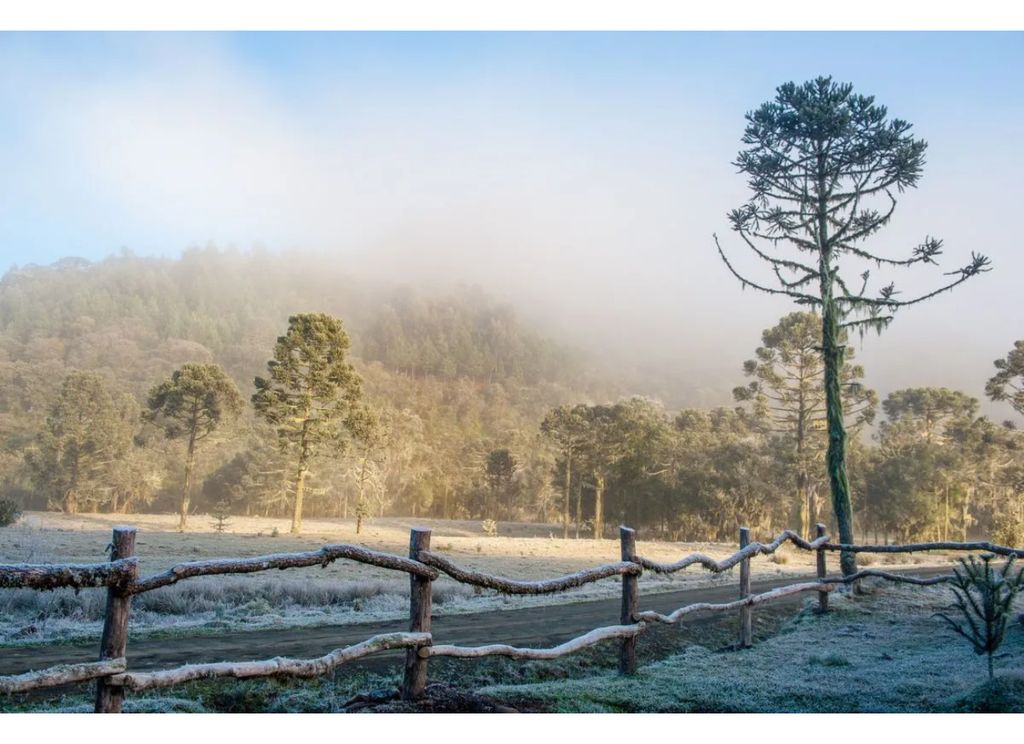 Neve em Urubici, SC / Fonte: iStock