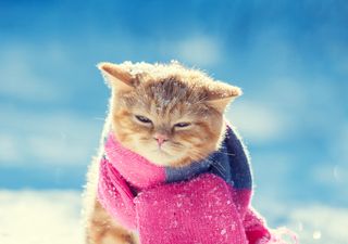 O tempo no fim de semana: ar polar traz muito frio e nova massa de ar frio chega já no domingo