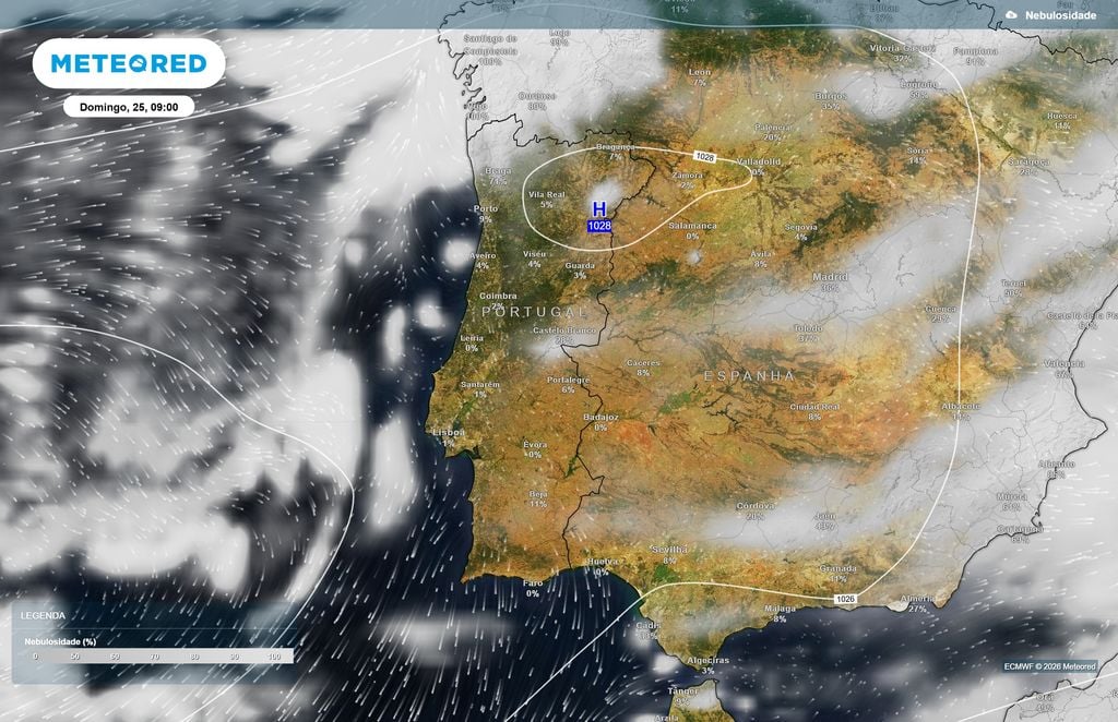 Nebulosidade prevista pelo ECMWF para a manhã de domingo, com céu pouco nublado em diversas regiões do Centro e Sul e maior presença de nuvens no Minho.