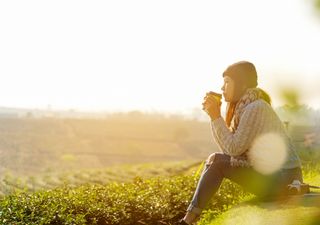 Fim de semana com frio em parte do centro-sul e frente fria no Nordeste