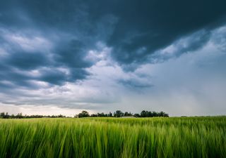 Fim de semana com pancadas e chance de temporais em parte do CO e SE
