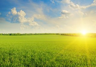 Fim de semana com predomínio de sol e temperaturas em elevação