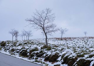 Fim de semana de neve e temperaturas baixas: até quando durará o frio?