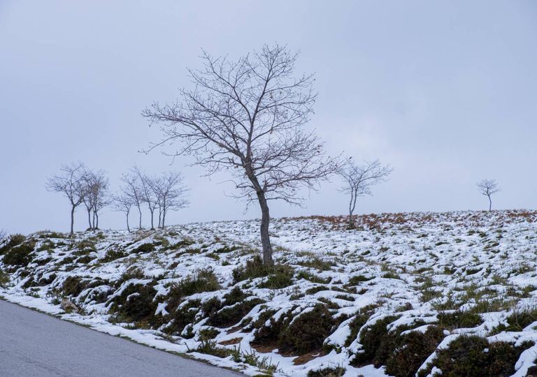 neve; Portugal; fim de semana neve; Portugal; fim de semana