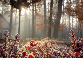 Fim de semana de tempo seco, com temperaturas próximas aos 0 ºC!