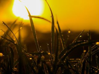 Fim de semana pelo Brasil: muita chuva, frio e calor