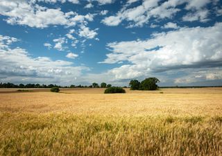 Fim de semana: temperaturas em elevação e baixa umidade