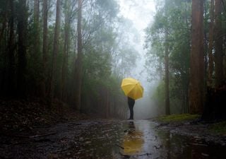 Fim de semana traz frio, vento e muita chuva