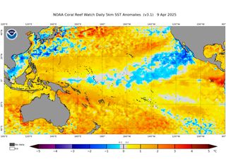 Fim do La Niña? NOAA confirma, mas debate continua