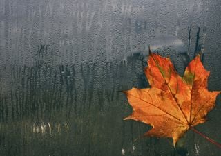 Fim do tempo seco à vista? Chuva pode regressar em breve!