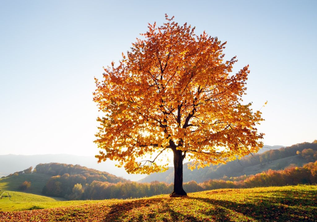 Pronóstico tiempo clima otoño fin de semana Argentina