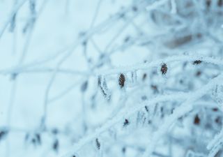 Temperaturas con mínimos de hasta -15 °C en estados del norte de México