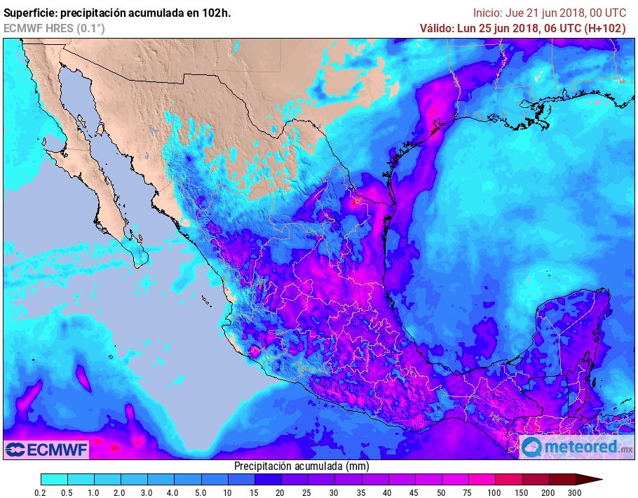 ECMWF ECMWF