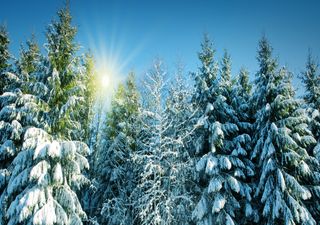 Fin de semana con nieve y aguanieve en el norte de México