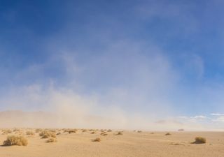 Fin de semana de viento intenso y temperaturas amenas en el país