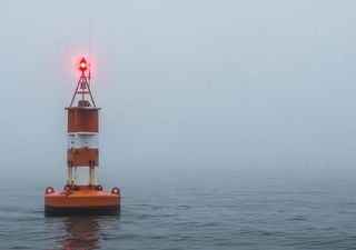 Fin de semana en el Delta y el R&iacute;o de la Plata: la niebla manda y el viento afloja... &iexcl;cheque&aacute; antes de zarpar!