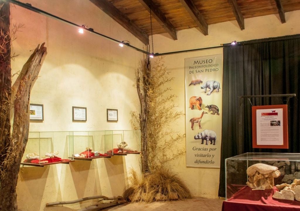 Museo Paleontológico “Fray Manuel de Torres” Museo Paleontológico “Fray Manuel de Torres”