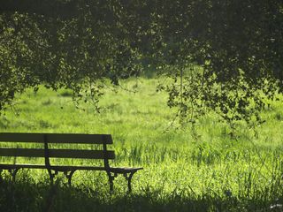 Fin de semana soleado en todo el país