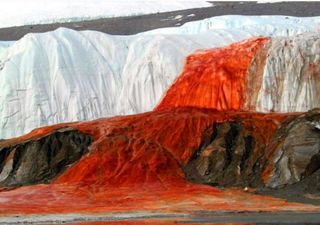 Fin del misterio: descubren el origen de las Cataratas de Sangre en la Antártida