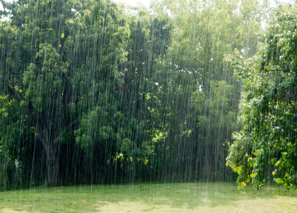 Les pluies et les épisodes de fraîcheur vont-ils s'affirmer mettant fin à la période estivale ?
