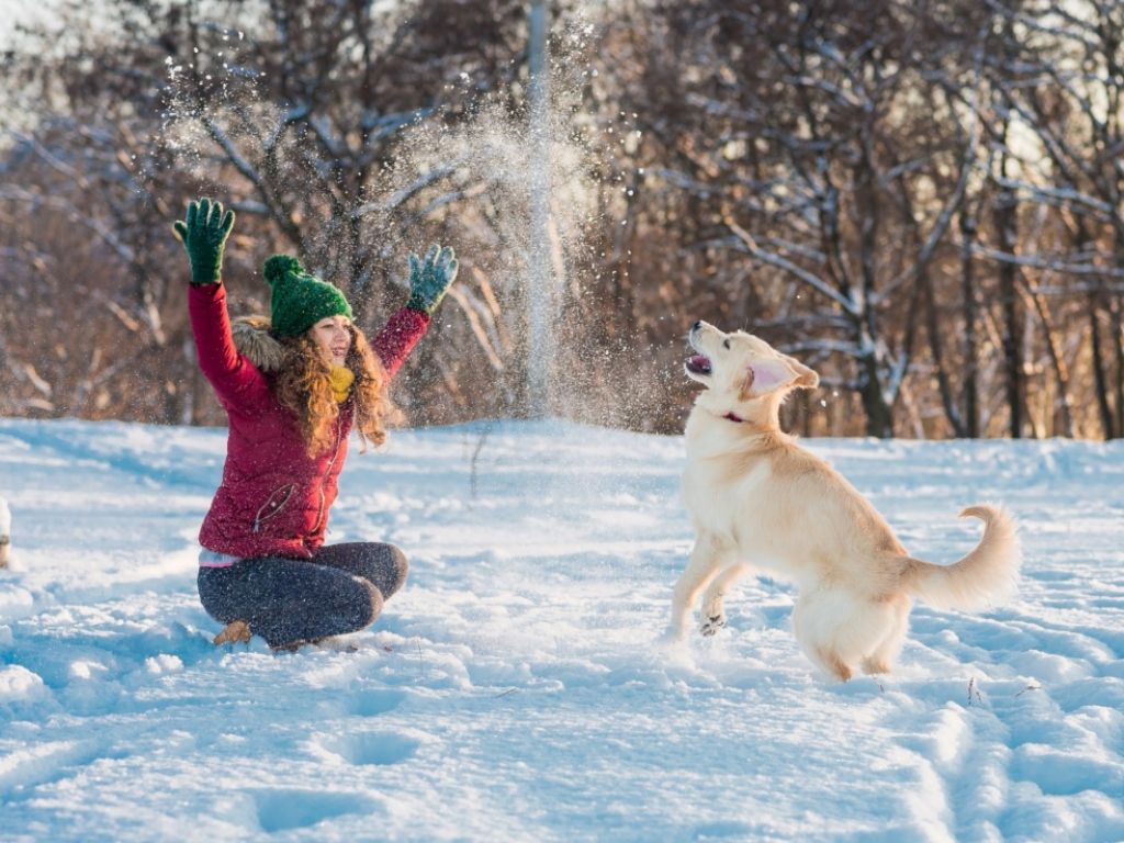 Frío Invierno Temperaturas Argentina