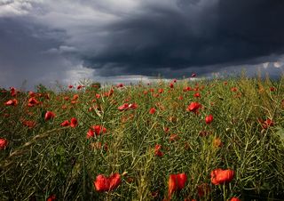 Fine maggio di caldo e forti temporali sull'Italia