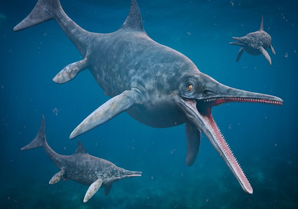 Ictiosaurio, océano
