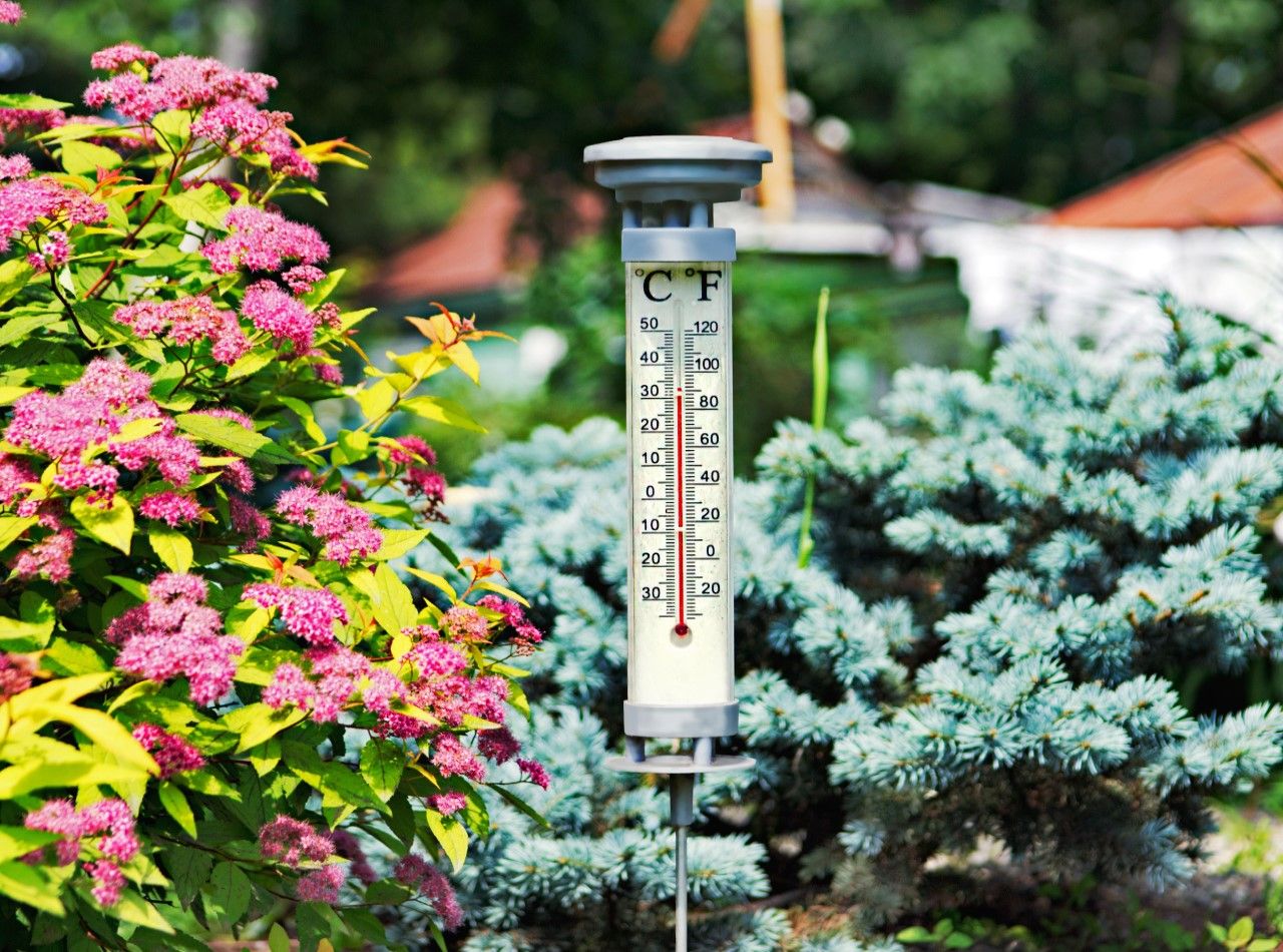 First Nine Months Of 2022 Were UK s Warmest On Record Met Office Finds