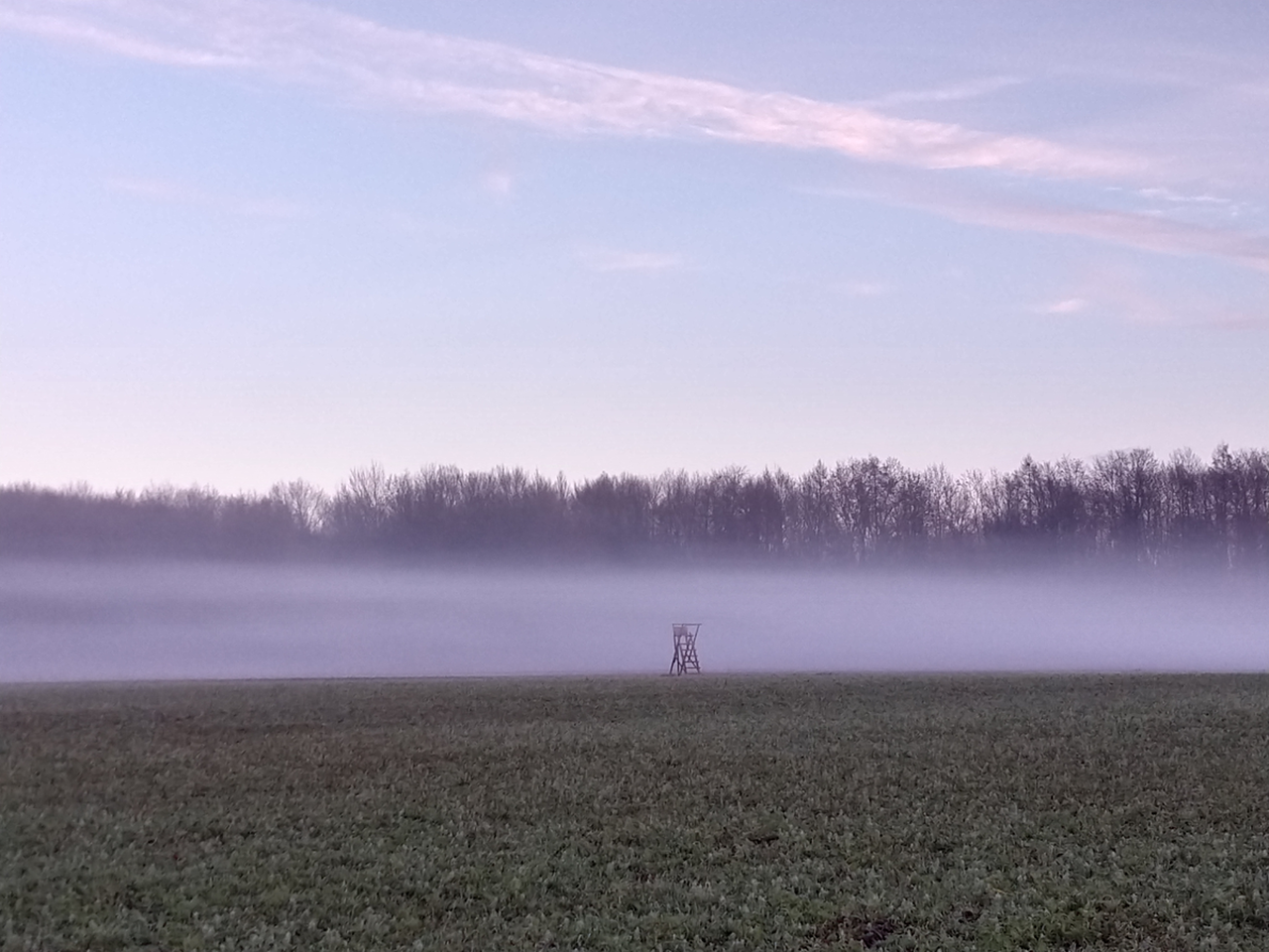 Fischen im Trüben - von den Schwierigkeiten einer Nebelvorhersage