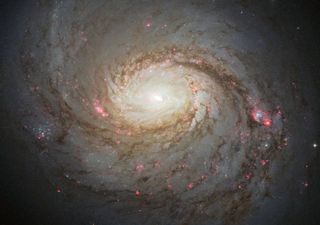 Físicos propõem nova teoria para a produção de neutrinos após obterem dados surpreendentes da 