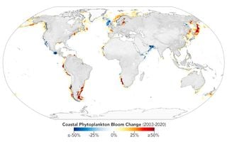 El fitoplancton costero en aumento ¿Eso es bueno o malo?