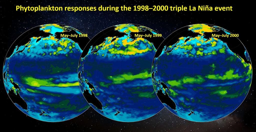 Distribución de anomalías de clorofila en la superficie del mar a finales de la primavera y principios del verano durante el triple evento de La Niña de 1998-2000. (Imagen de IOCAS)