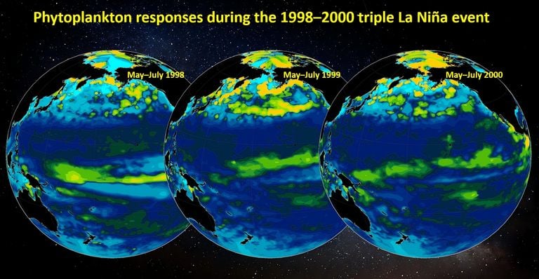 Un estudio revela el papel oculto del fitoplancton en la evoluci&oacute;n de La Ni&ntilde;a a lo largo de varios a&ntilde;os