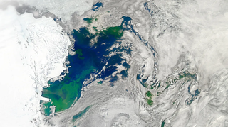 Los científicos descubren que el fitoplancton protege a las plataformas de hielo antártico del calor del verano