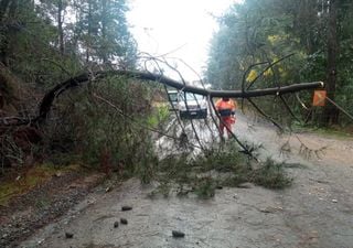 Con menos de 24 horas de lluvias: sectores comienzan a ser evacuados por efecto de las intensas precipitaciones